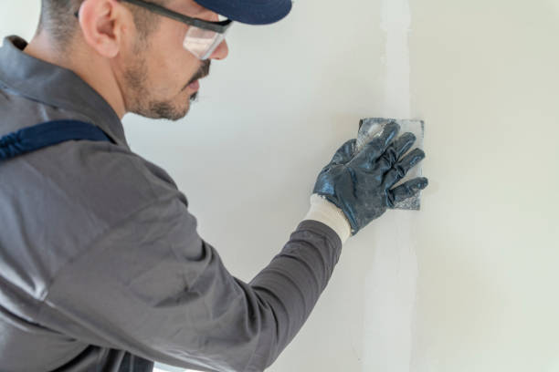 Best Black Mold Removal  in Felton, DE