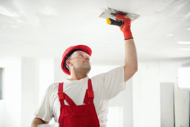 Best Mold Damage Restoration  in Felton, DE