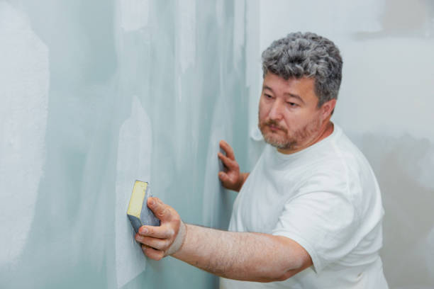 Trusted Felton, DE Mold Removal Experts